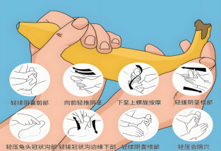 陰莖能鍛煉嗎？男性生殖器健康鍛煉方法